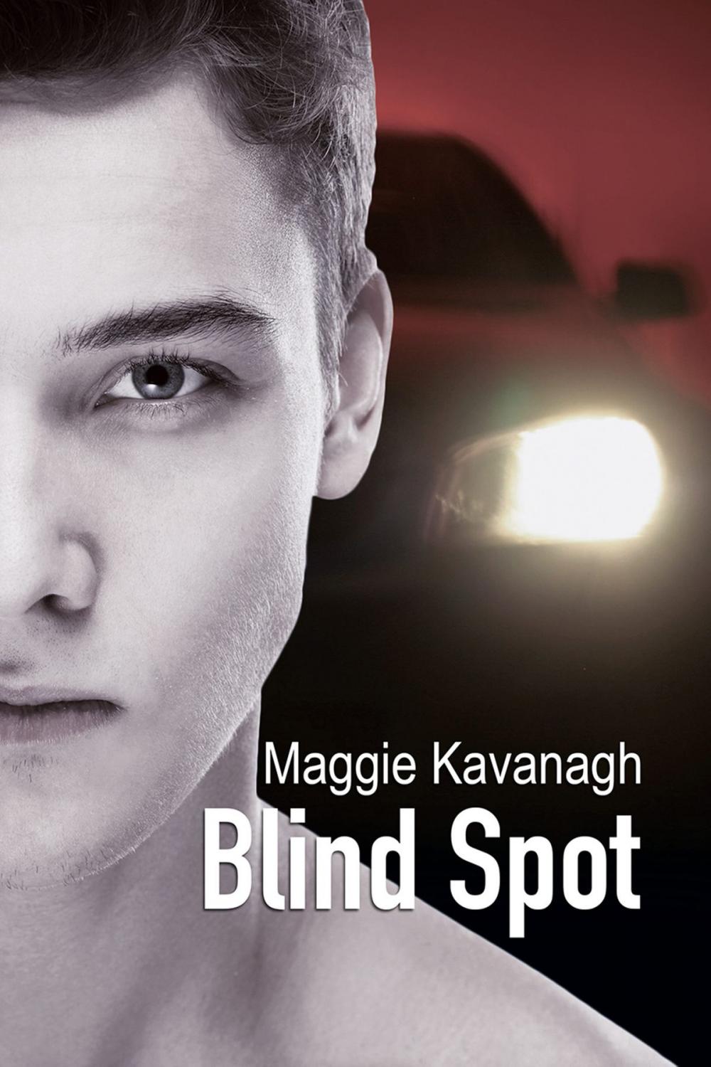 Big bigCover of Blind Spot