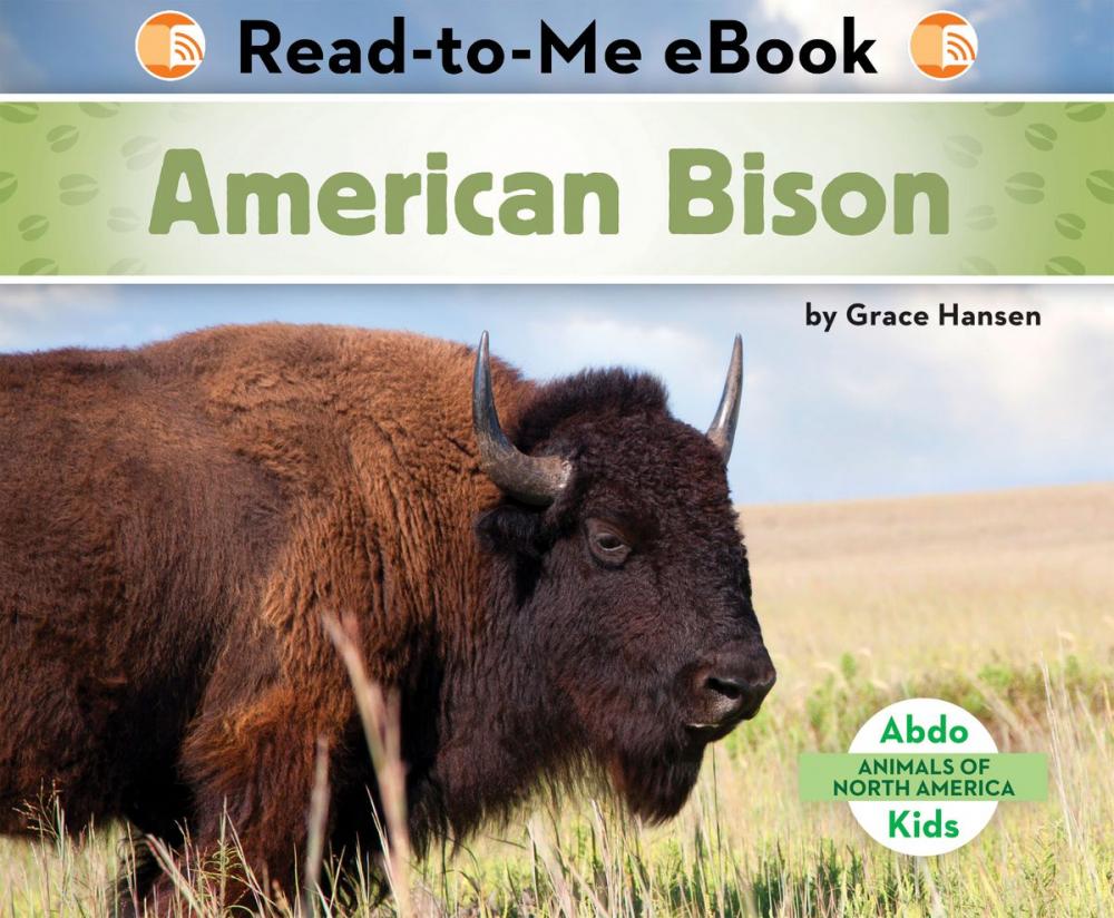 Big bigCover of American Bison