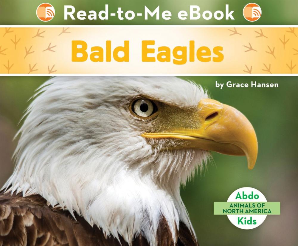 Big bigCover of Bald Eagles