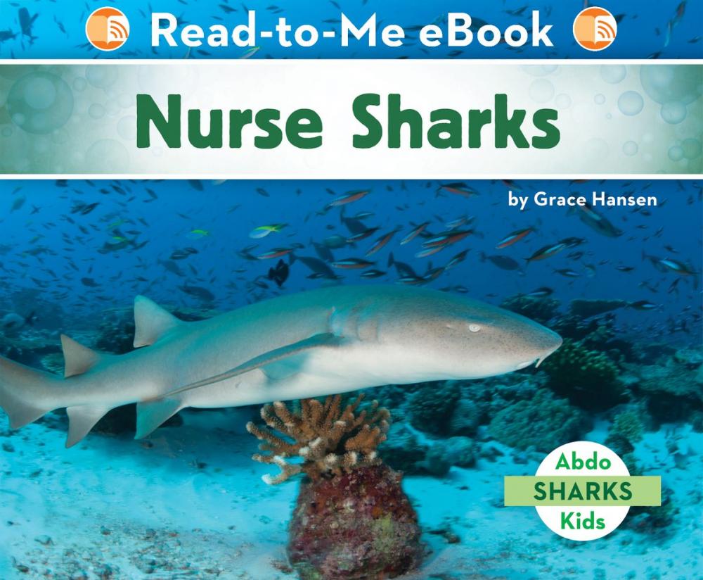 Big bigCover of Nurse Sharks