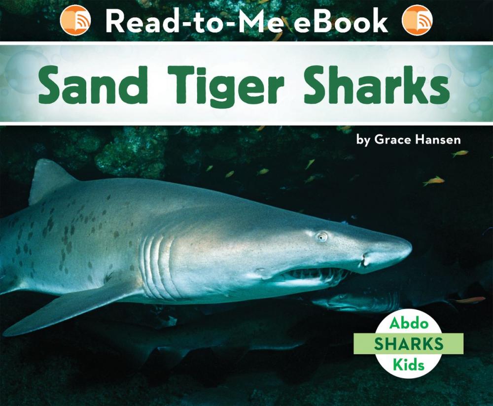 Big bigCover of Sand Tiger Sharks