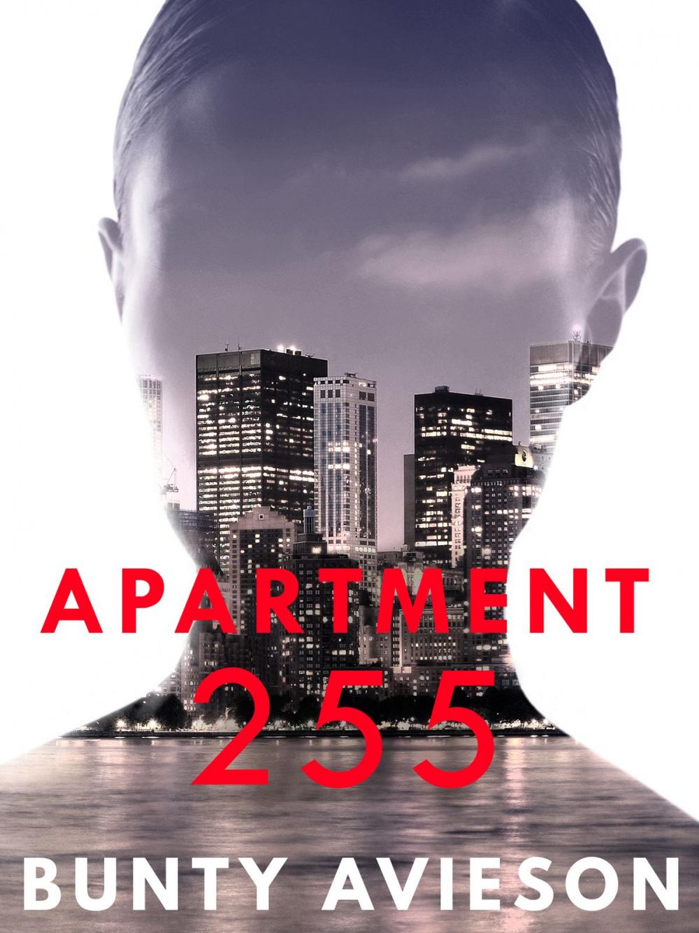 Big bigCover of Apartment 255