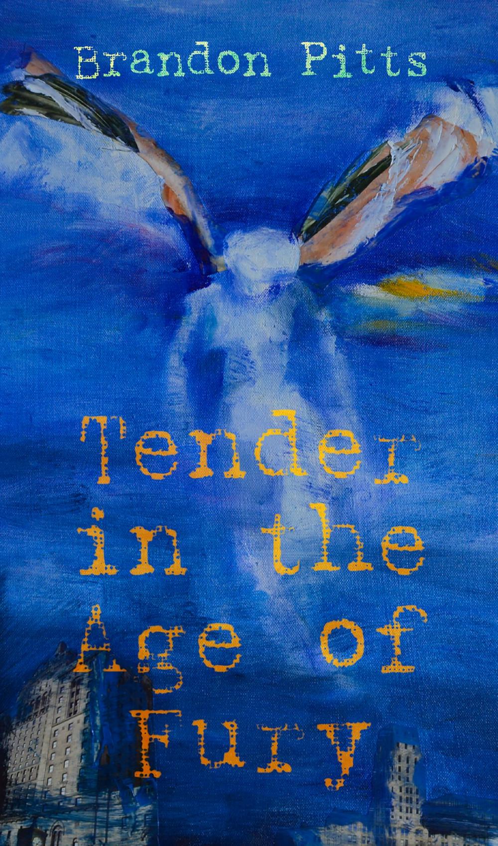 Big bigCover of Tender in the Age of Fury