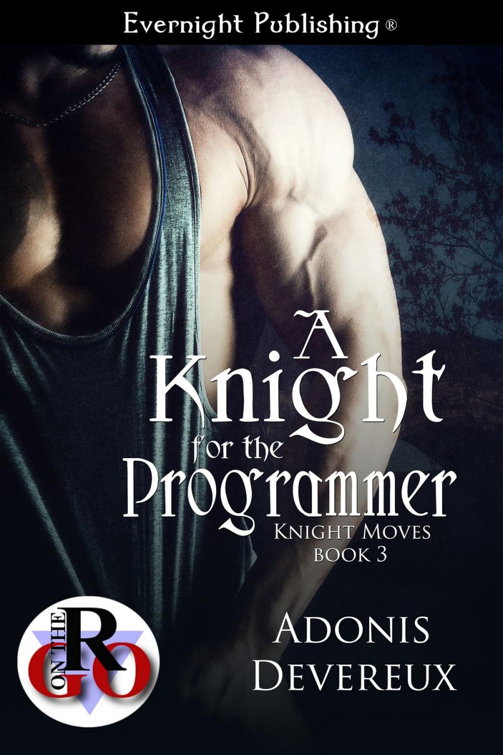 Big bigCover of A Knight for the Programmer