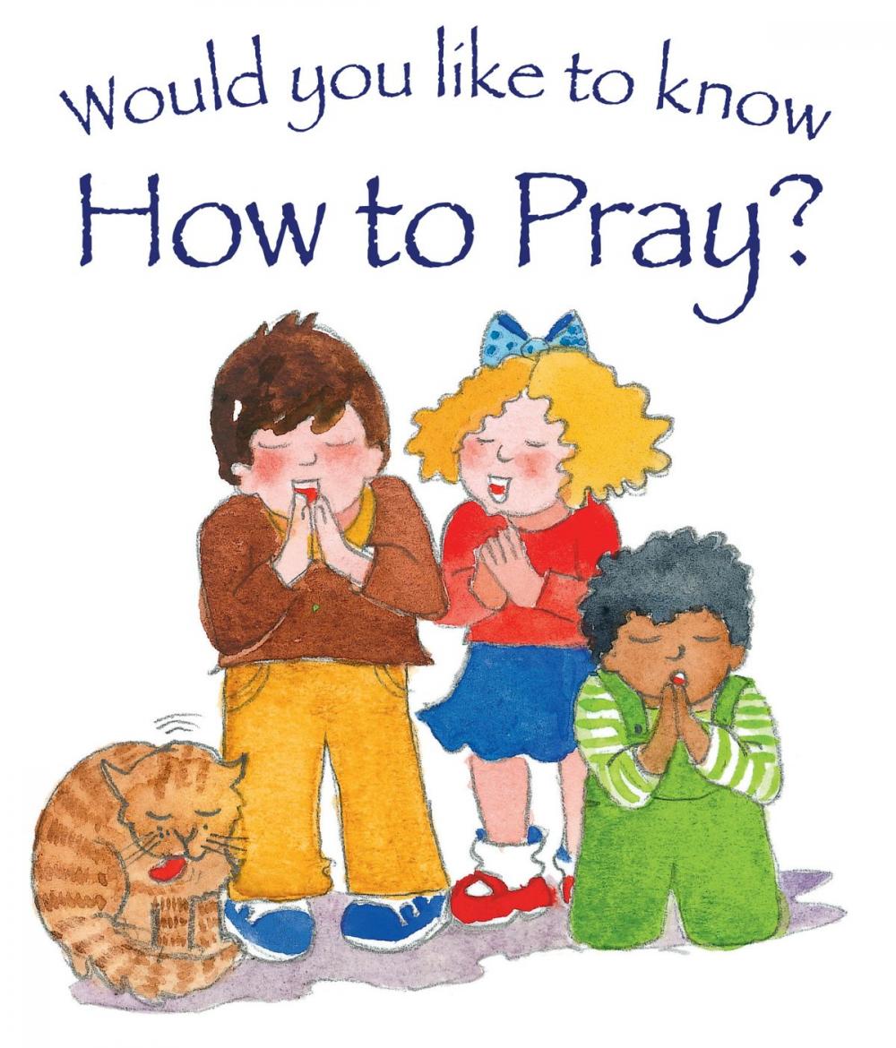 Big bigCover of Would You Like to Know How to Pray?