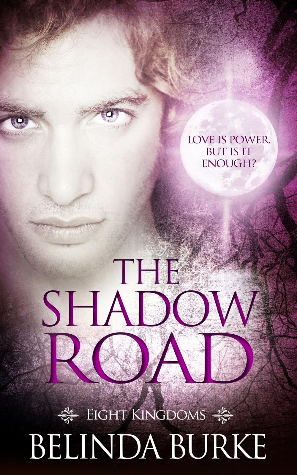Big bigCover of The Shadow Road