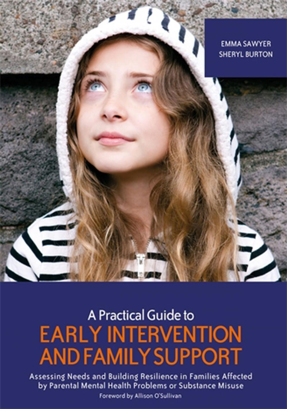 Big bigCover of A Practical Guide to Early Intervention and Family Support