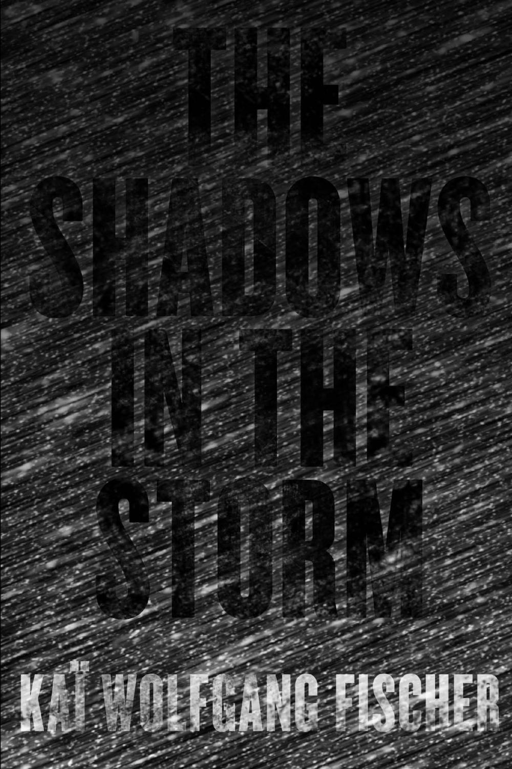 Big bigCover of The Shadows in the Storm