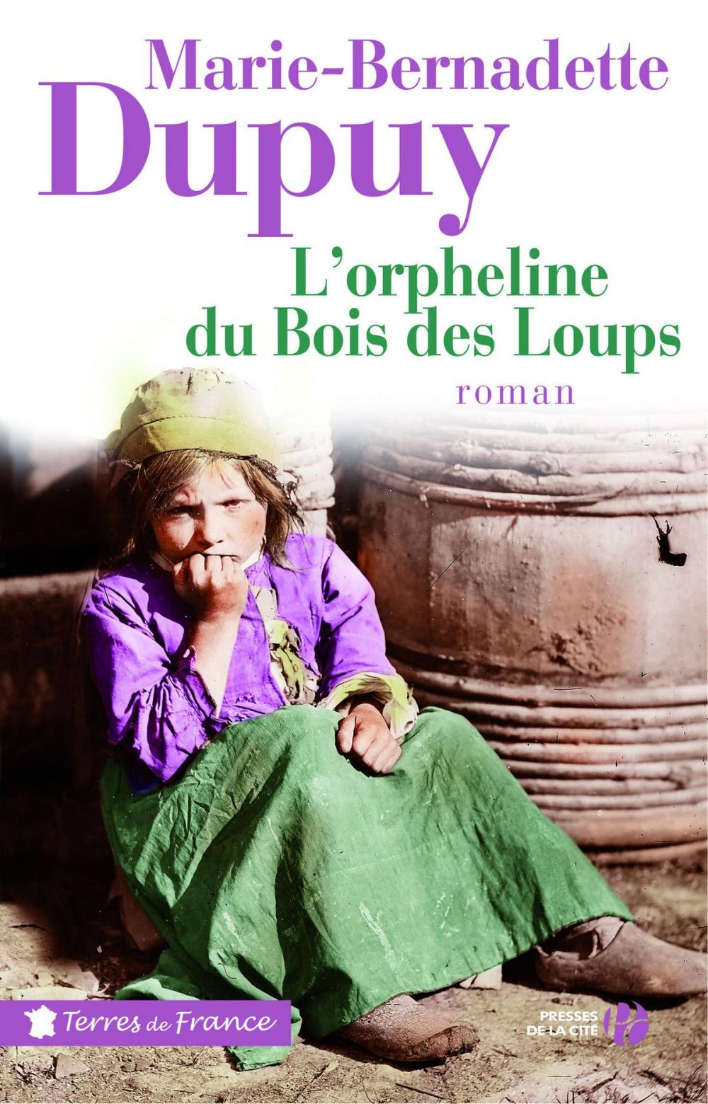 Big bigCover of L'orpheline du Bois des Loups