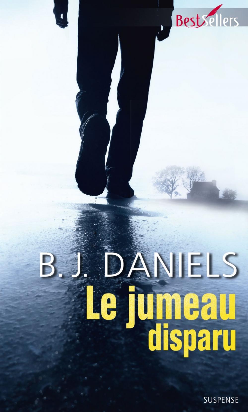 Big bigCover of Le jumeau disparu