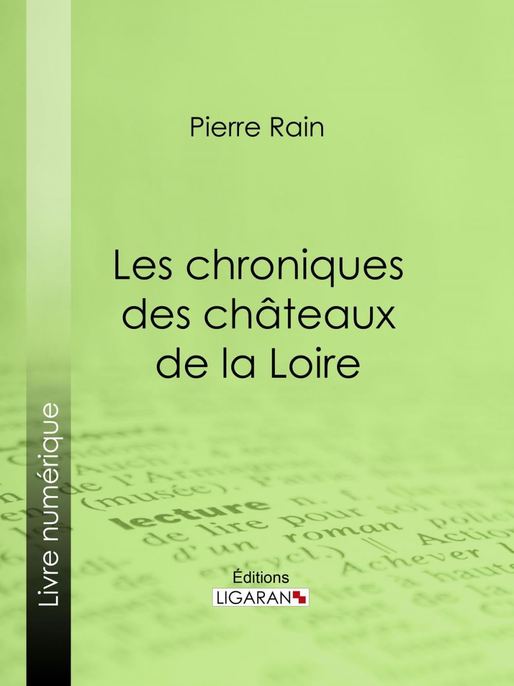 Big bigCover of Les chroniques des châteaux de la Loire