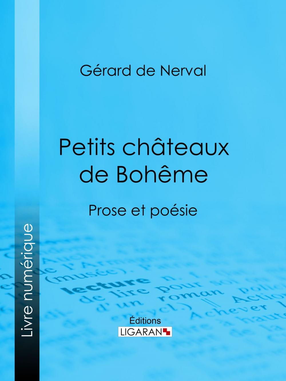 Big bigCover of Petits châteaux de Bohême