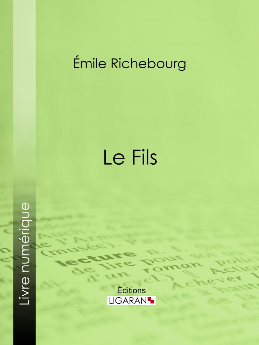 Big bigCover of Le Fils