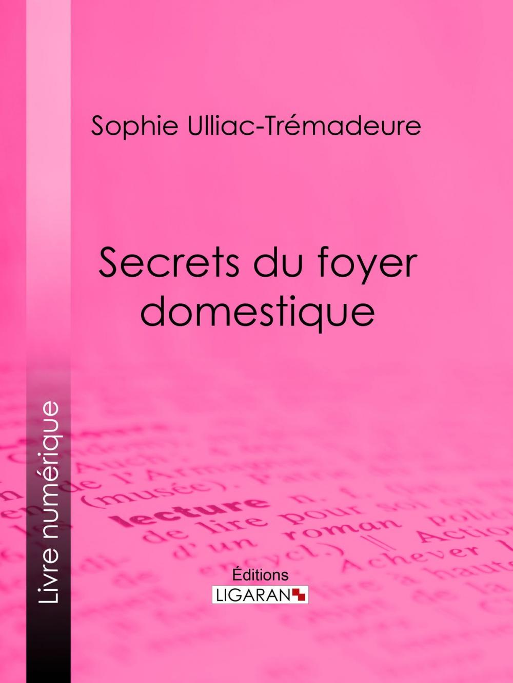 Big bigCover of Secrets du foyer domestique