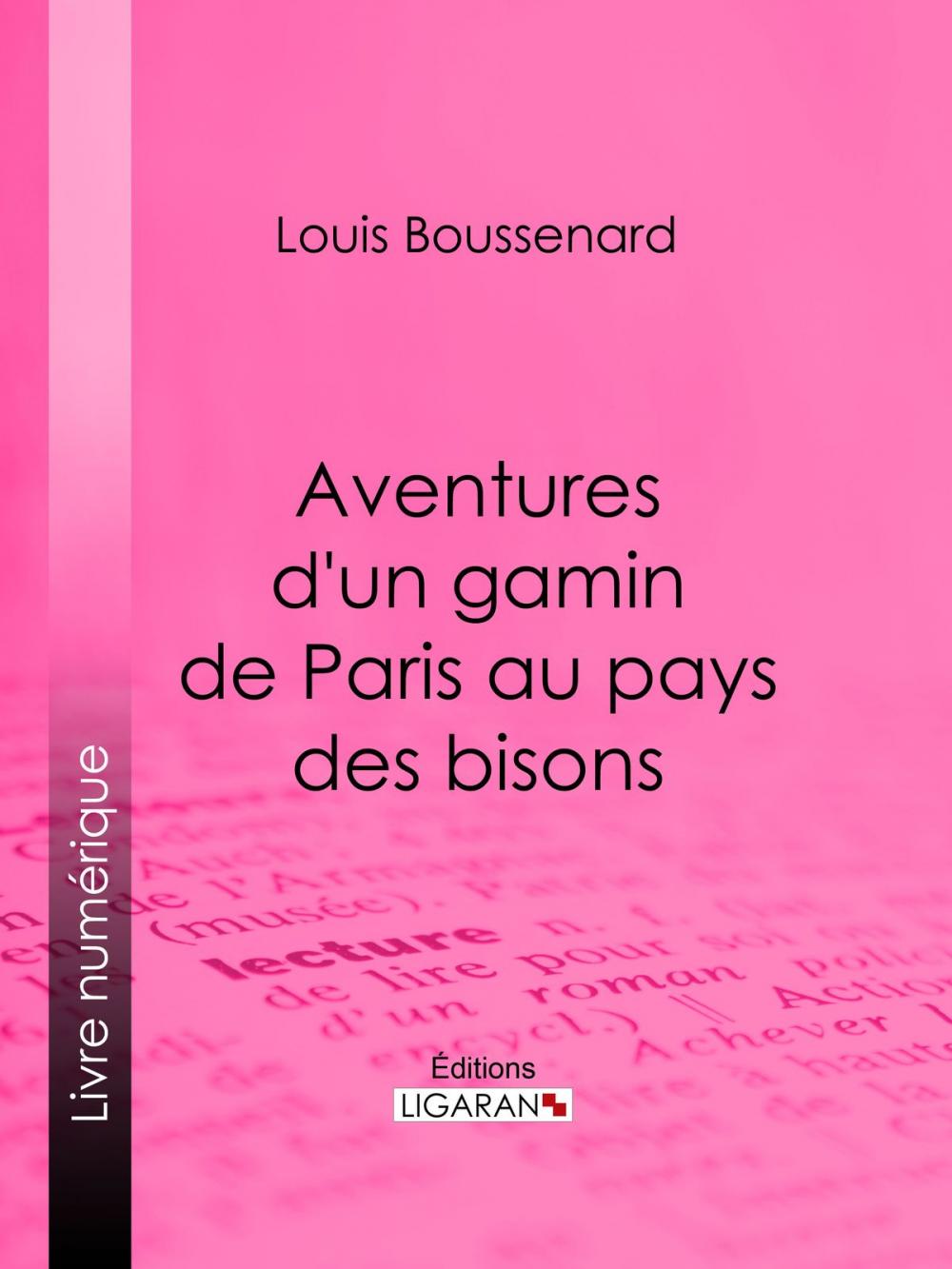 Big bigCover of Aventures d'un gamin de Paris au pays des bisons