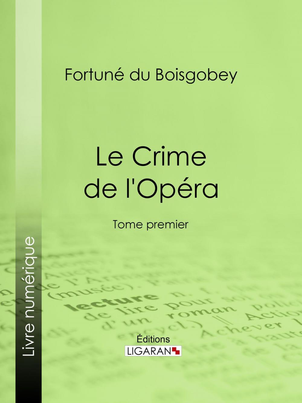 Big bigCover of Le Crime de l'Opéra