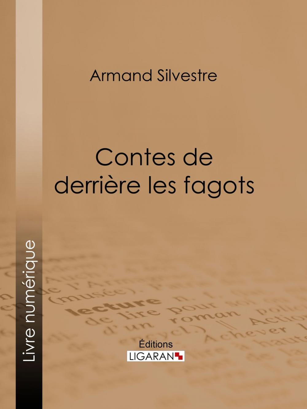 Big bigCover of Contes de derrière les fagots