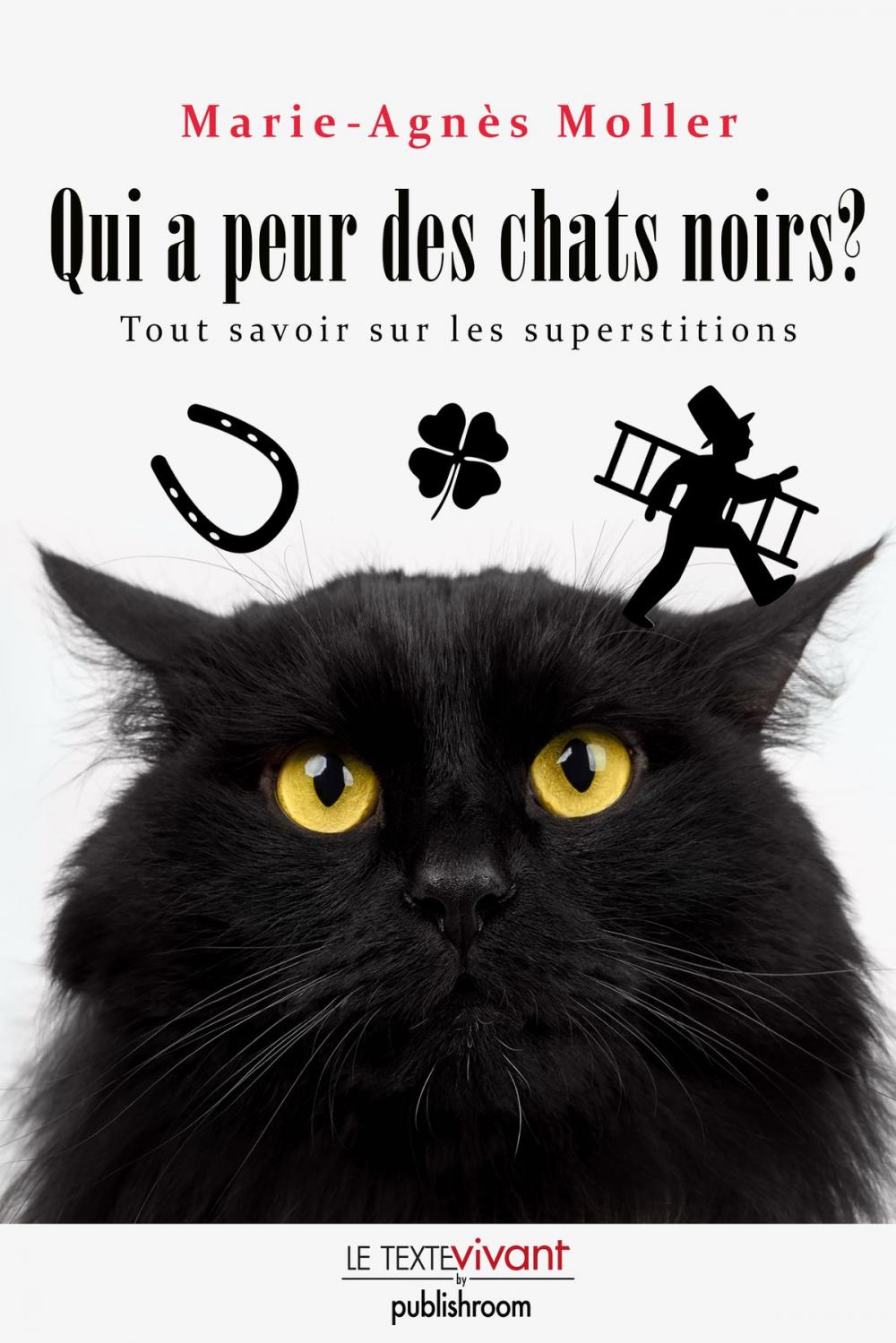 Big bigCover of Qui a peur des chats noirs ?