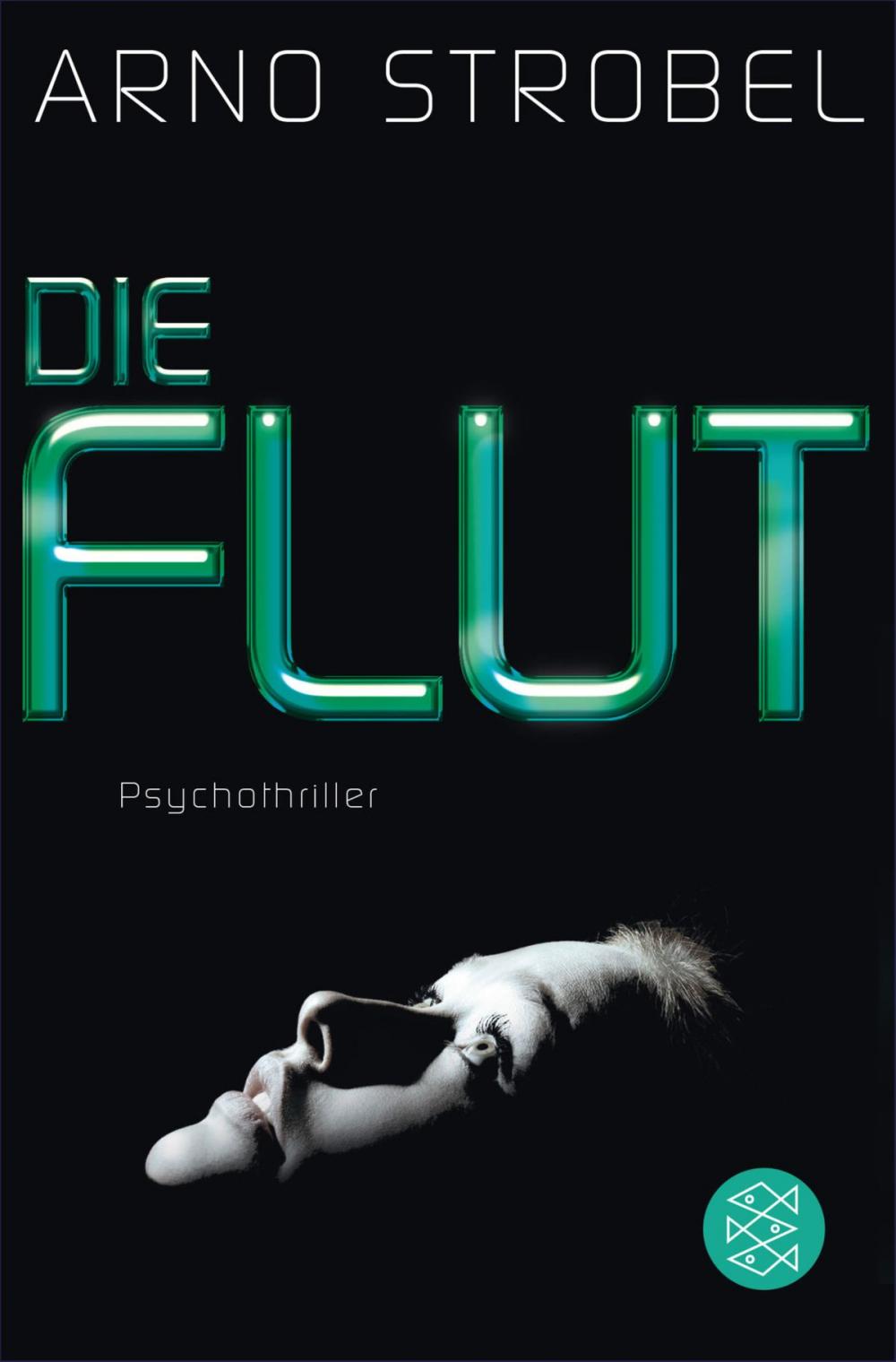 Big bigCover of Die Flut