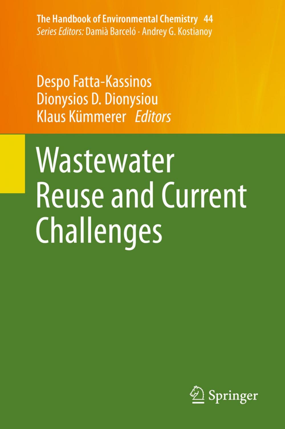 Big bigCover of Wastewater Reuse and Current Challenges