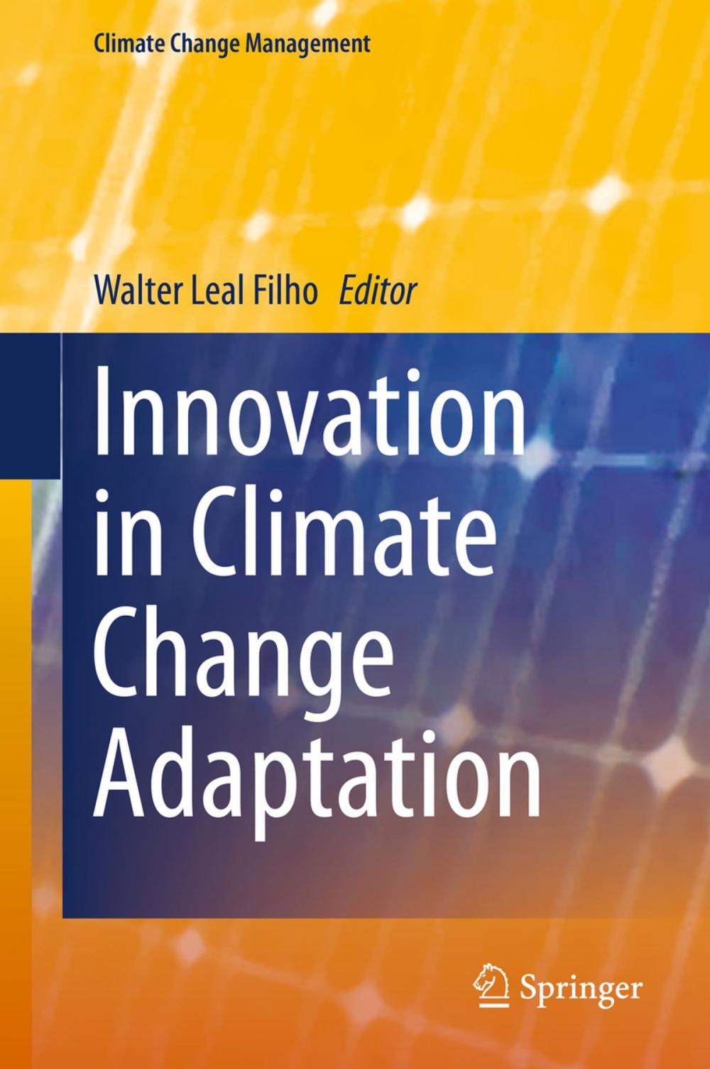 Big bigCover of Innovation in Climate Change Adaptation