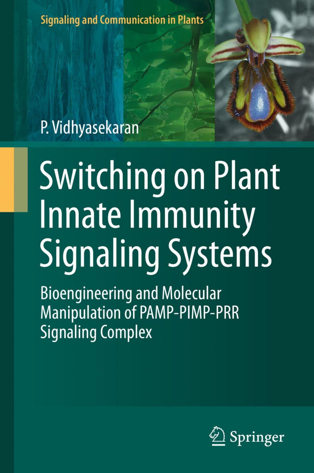 Big bigCover of Switching on Plant Innate Immunity Signaling Systems