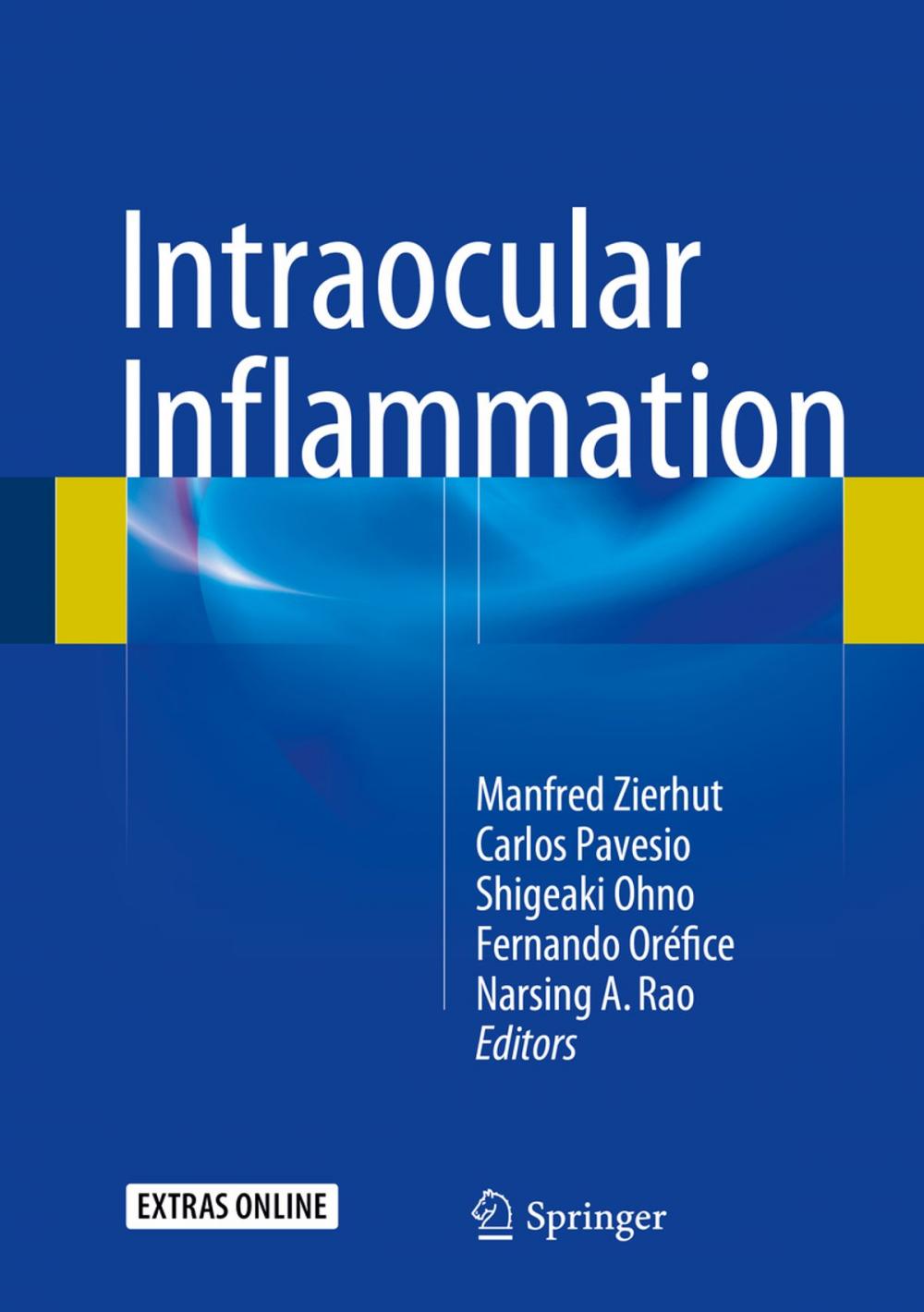 Big bigCover of Intraocular Inflammation