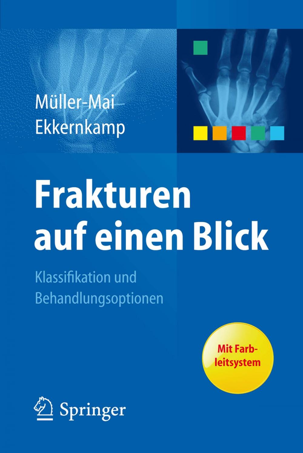 Big bigCover of Frakturen auf einen Blick