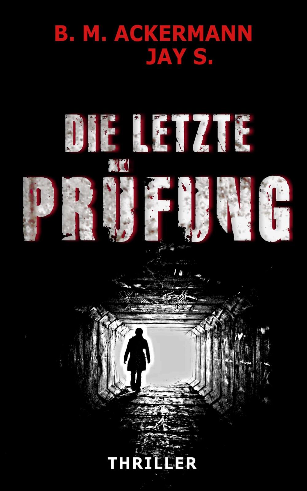 Big bigCover of Die letzte Prüfung