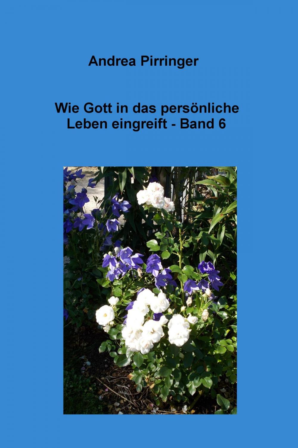 Big bigCover of Wie Gott in das persönliche Leben eingreift - Band 6