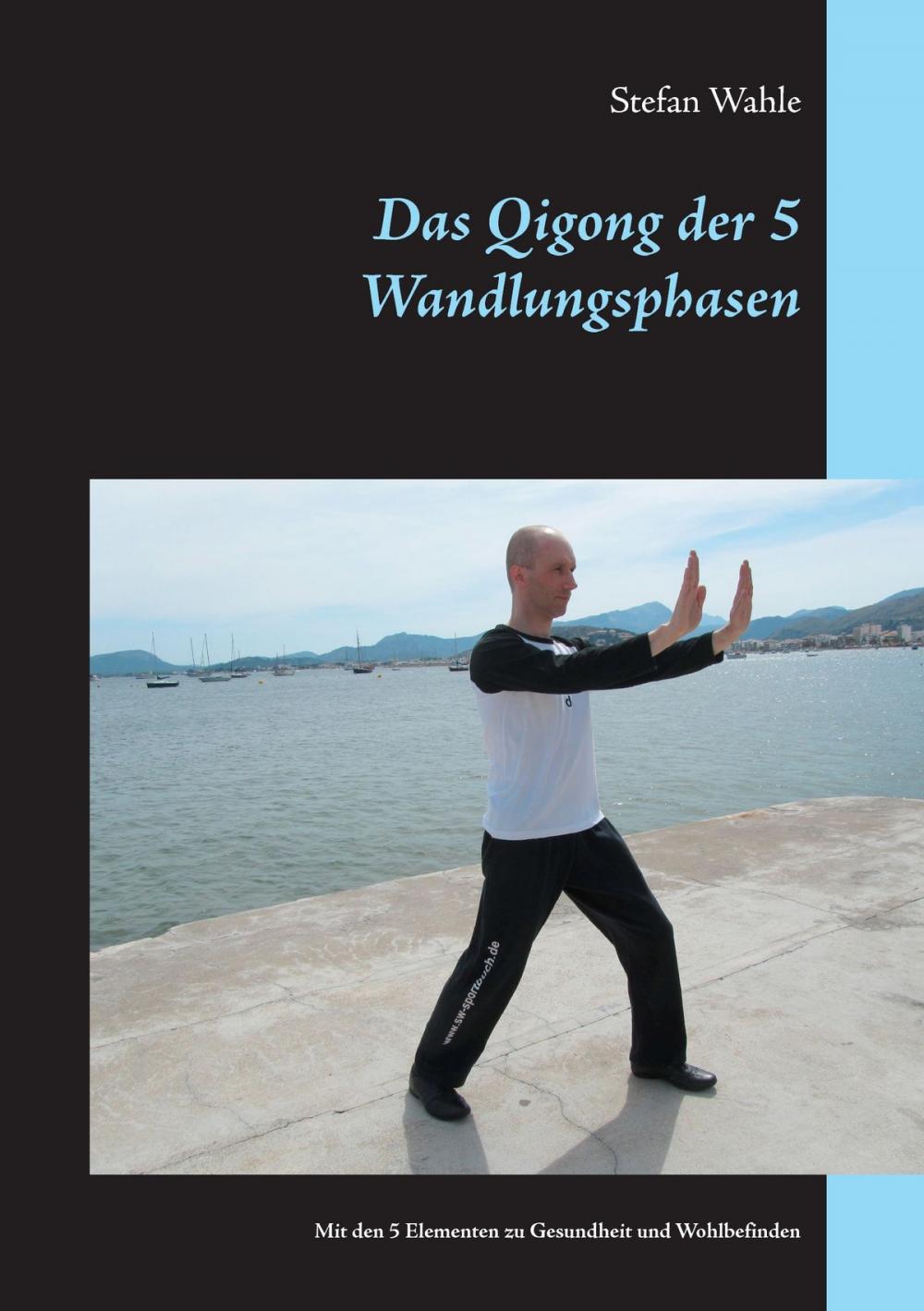 Big bigCover of Das Qigong der 5 Wandlungsphasen