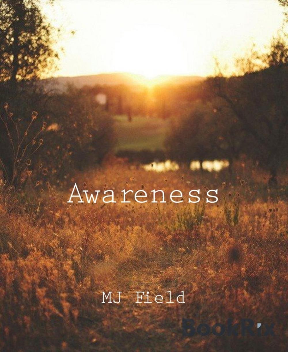 Big bigCover of Awareness