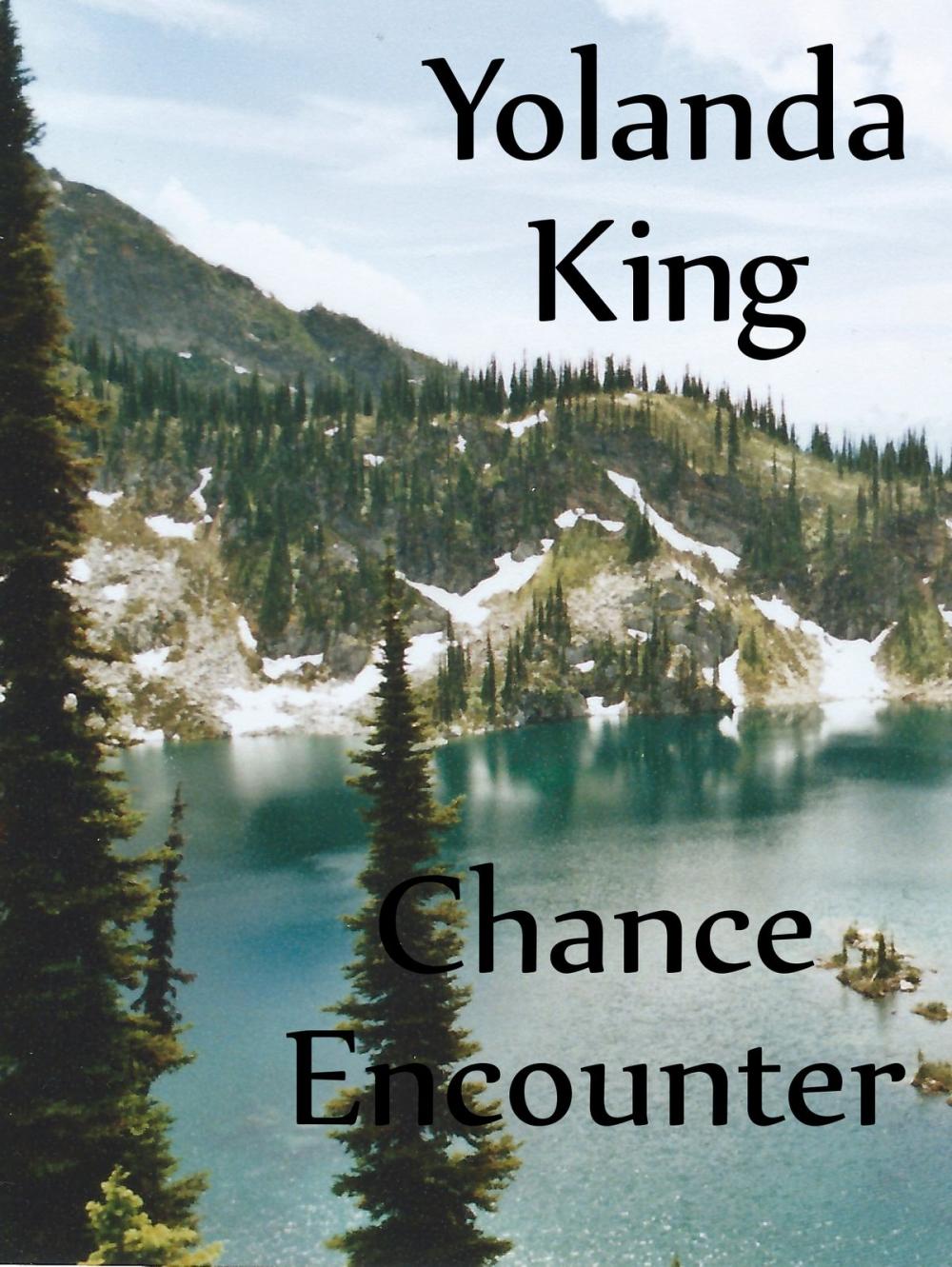 Big bigCover of Chance Encounter