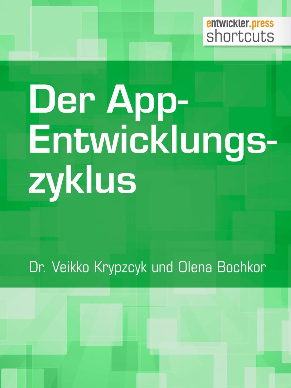 Big bigCover of Der App-Entwicklungszyklus