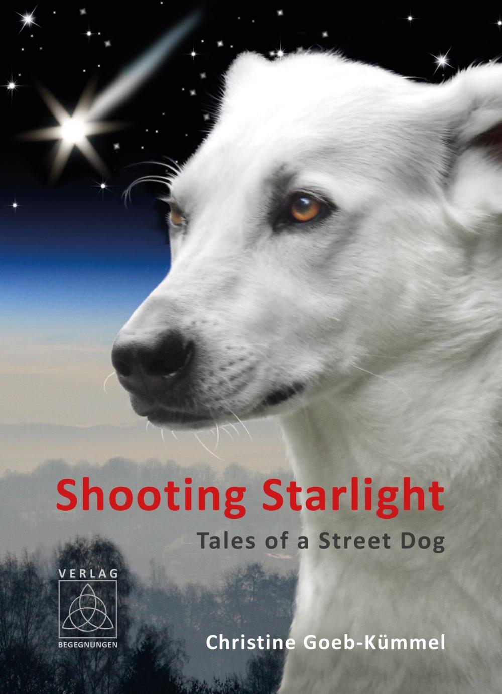 Big bigCover of Shooting Starlight