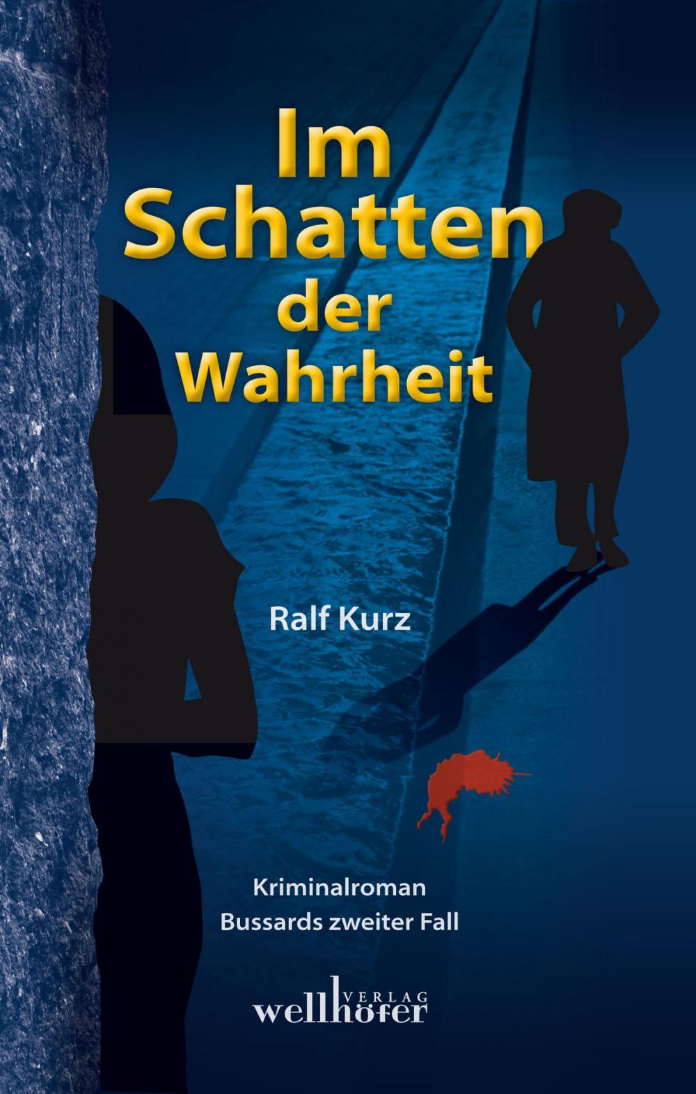 Big bigCover of Im Schatten der Wahrheit: Freiburg Krimi. Bussards zweiter Fall