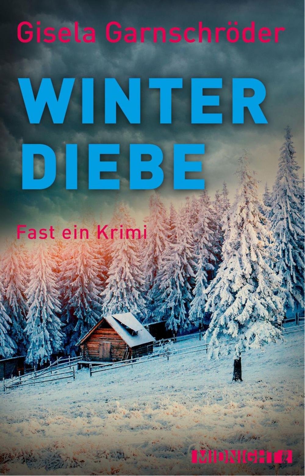 Big bigCover of Winterdiebe