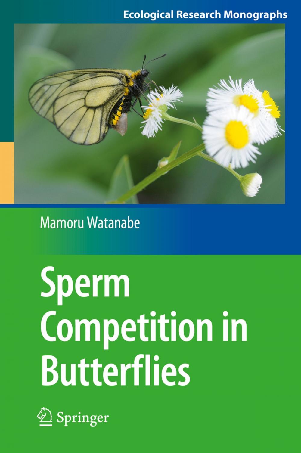 Big bigCover of Sperm Competition in Butterflies