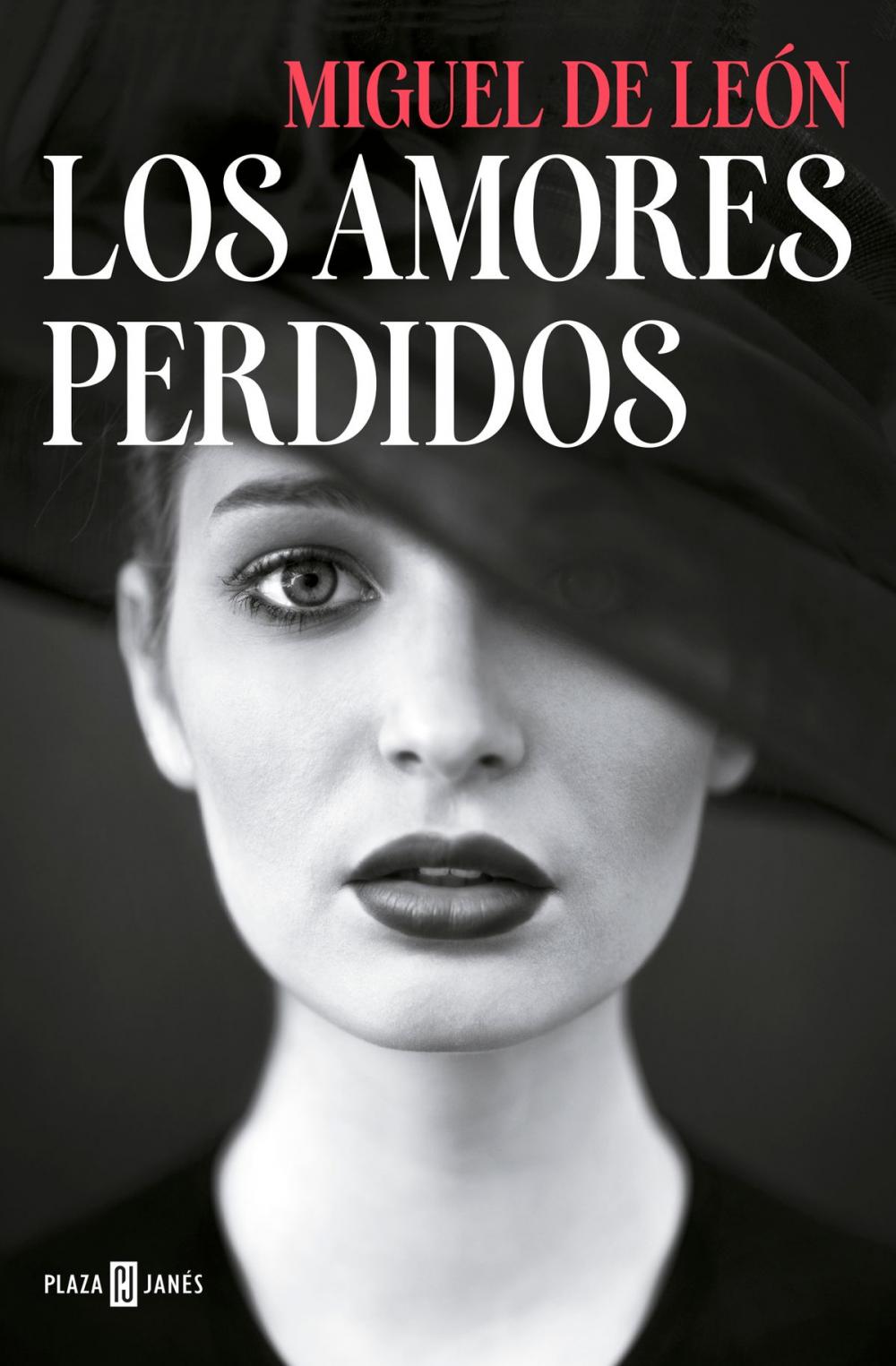 Big bigCover of Los amores perdidos