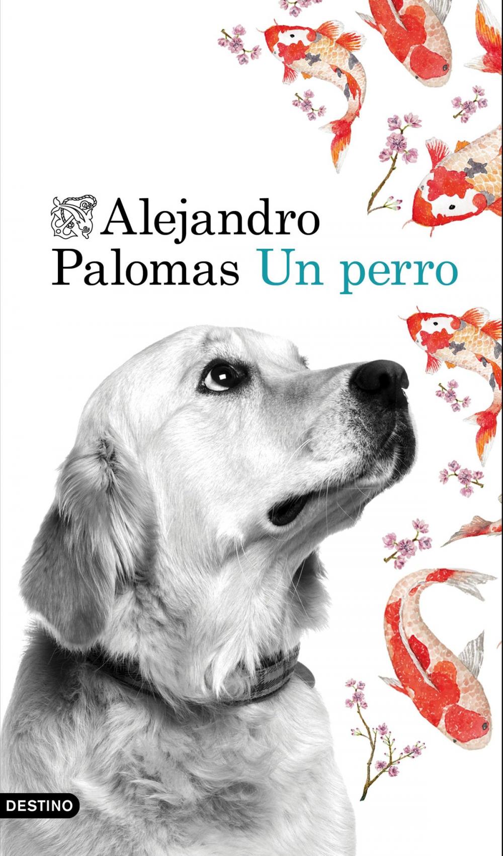 Big bigCover of Un perro