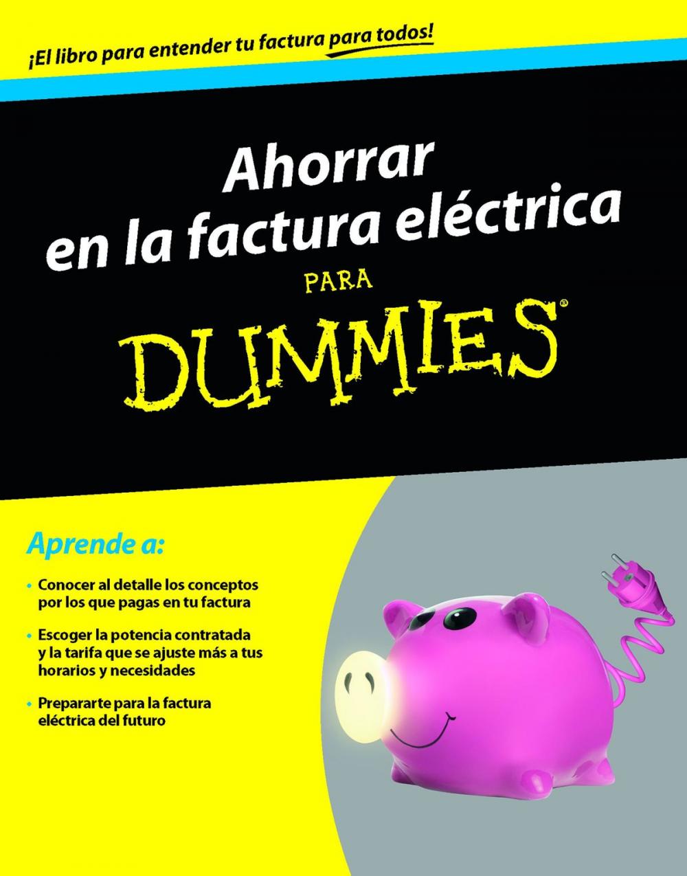 Big bigCover of Ahorrar en la factura eléctrica para Dummies