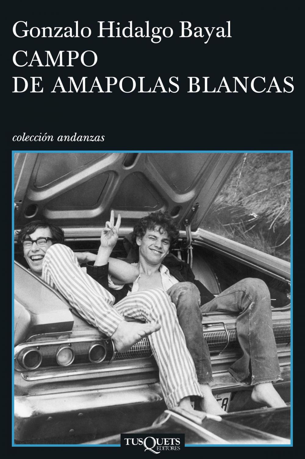 Big bigCover of Campo de amapolas blancas