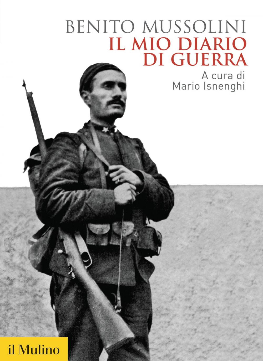 Big bigCover of Il mio diario di guerra