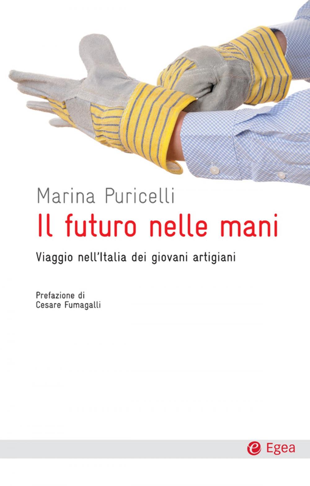 Big bigCover of Il futuro nelle mani