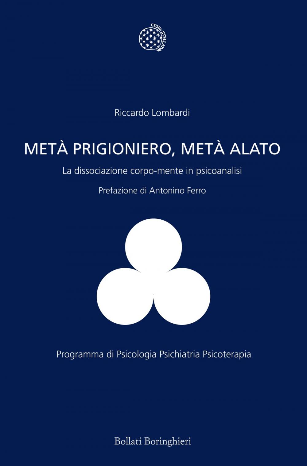 Big bigCover of Metà prigioniero, metà alato