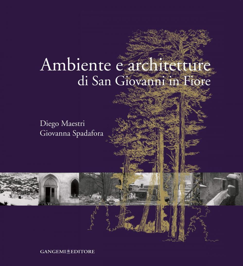 Big bigCover of Ambiente e architetture di San Giovanni in Fiore