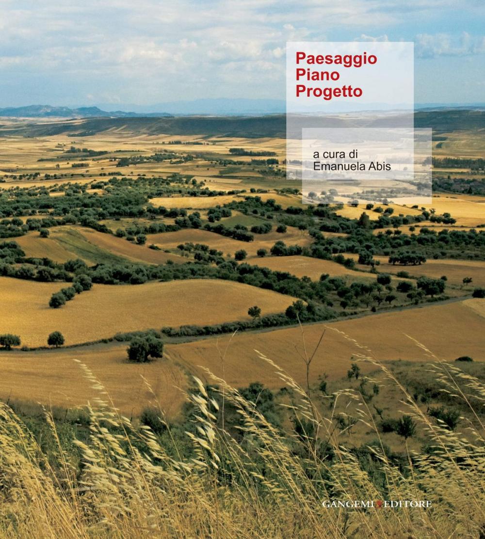 Big bigCover of Paesaggio Piano Progetto