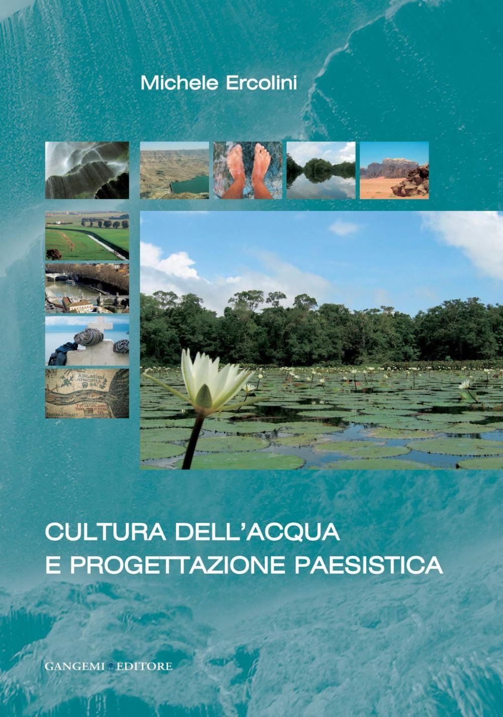 Big bigCover of Cultura dell'acqua e progettazione paesistica