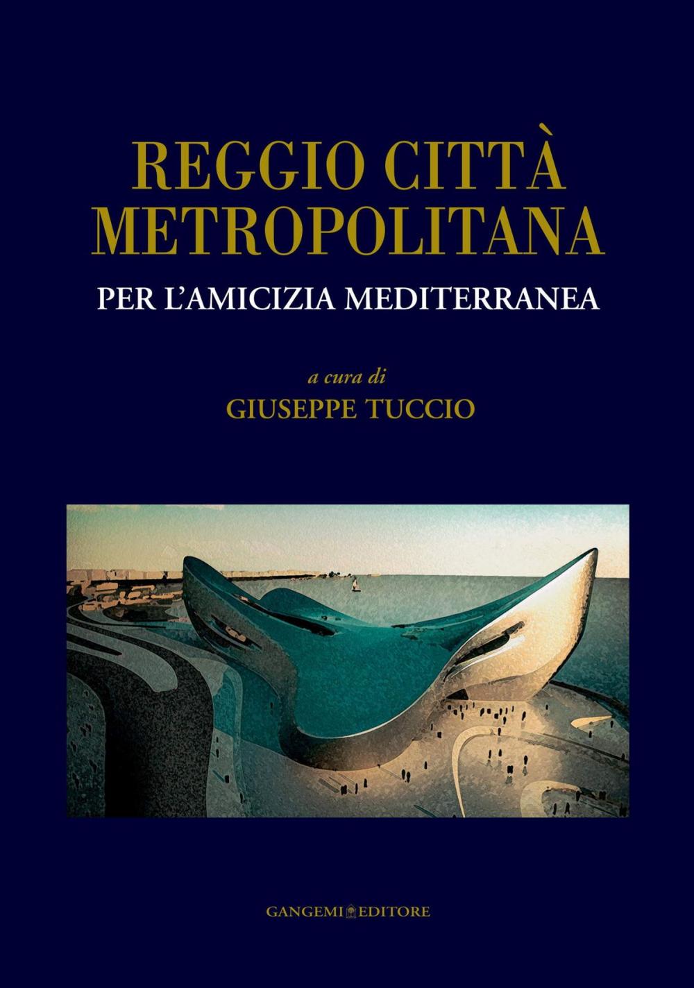 Big bigCover of Reggio città metropolitana