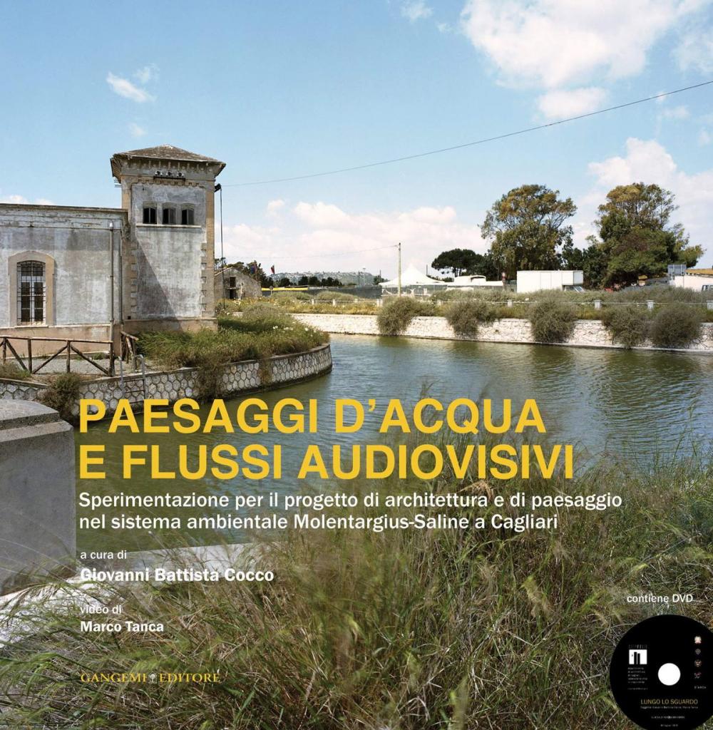 Big bigCover of Paesaggi d'acqua e flussi audiovisivi